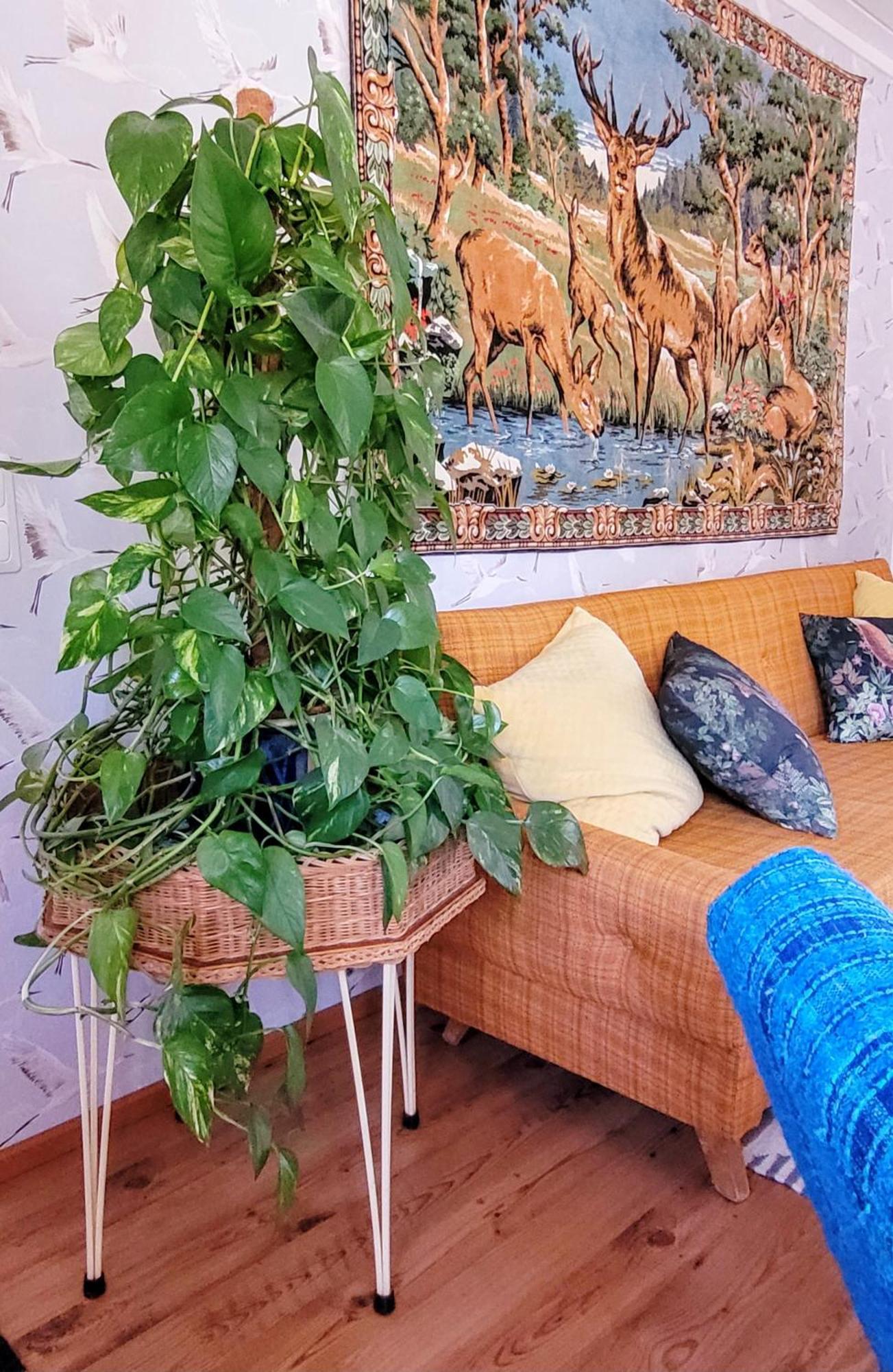 Solvillan Bed & Breakfast Korpo